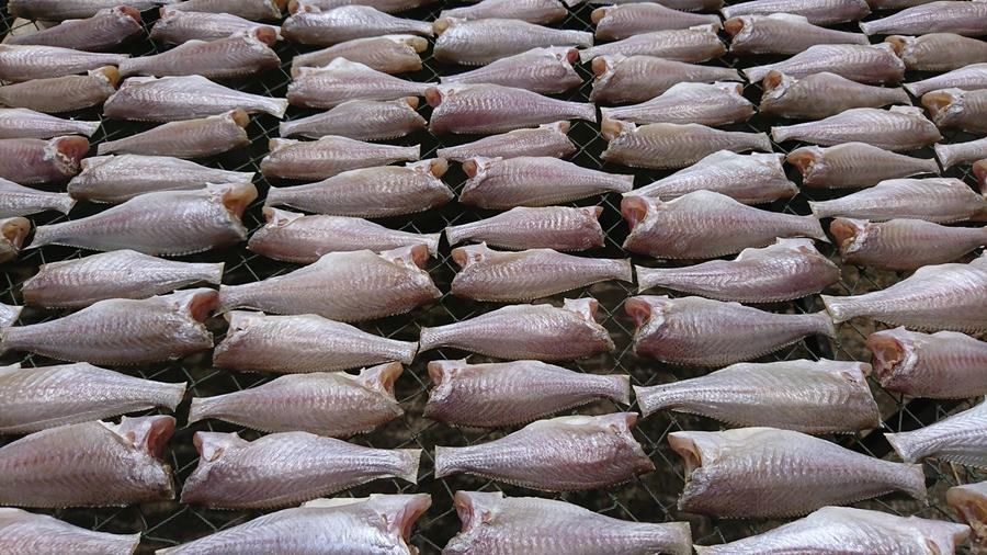 Khô cá đù là đặc sản dân giã được nhiều thực khách yêu thích