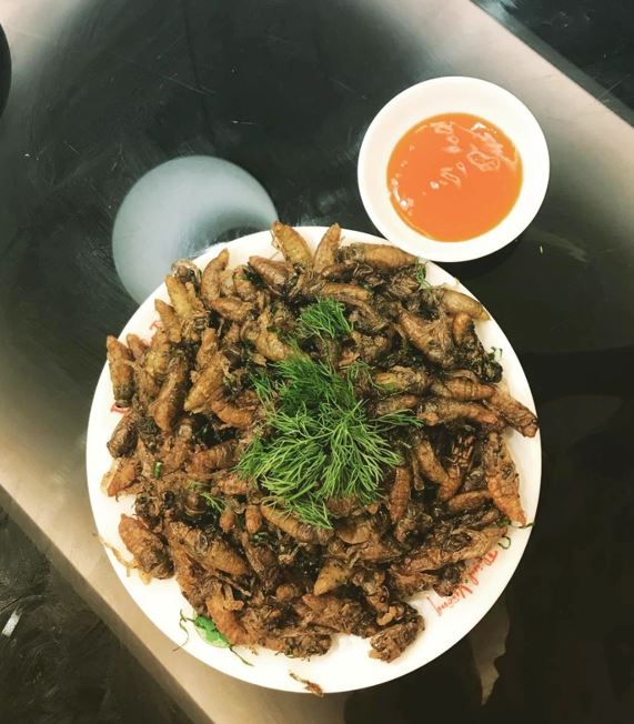 Ve sầu chiên giòn được ví là đặc sản mùa hè của Bình Phước
