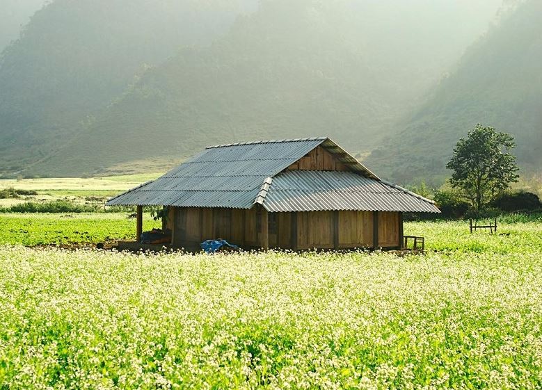 Bản Thung Cuông