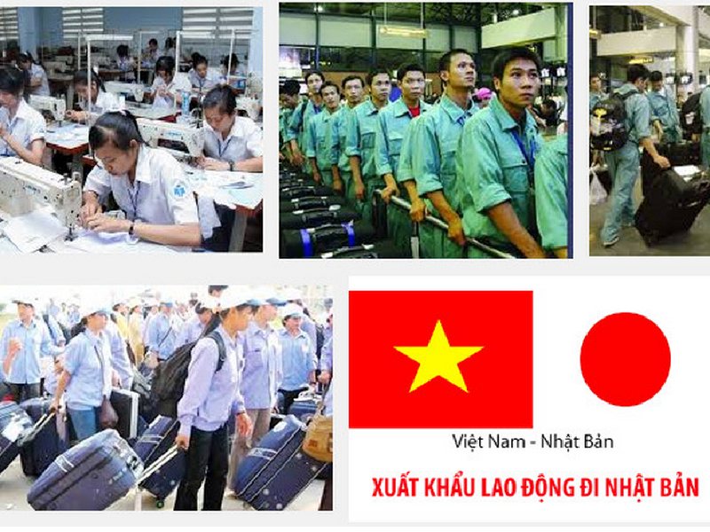 Quy trình tham gia chương trình lao động tại Nhật Bản