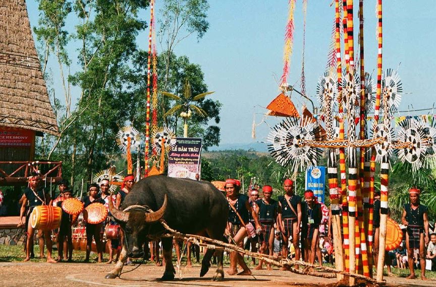 Đâm Trâu: Lễ hội ở Đà Lạt bạn không nên bỏ qua