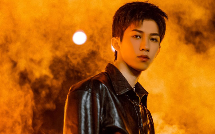 Tiểu sử Lâm Mặc