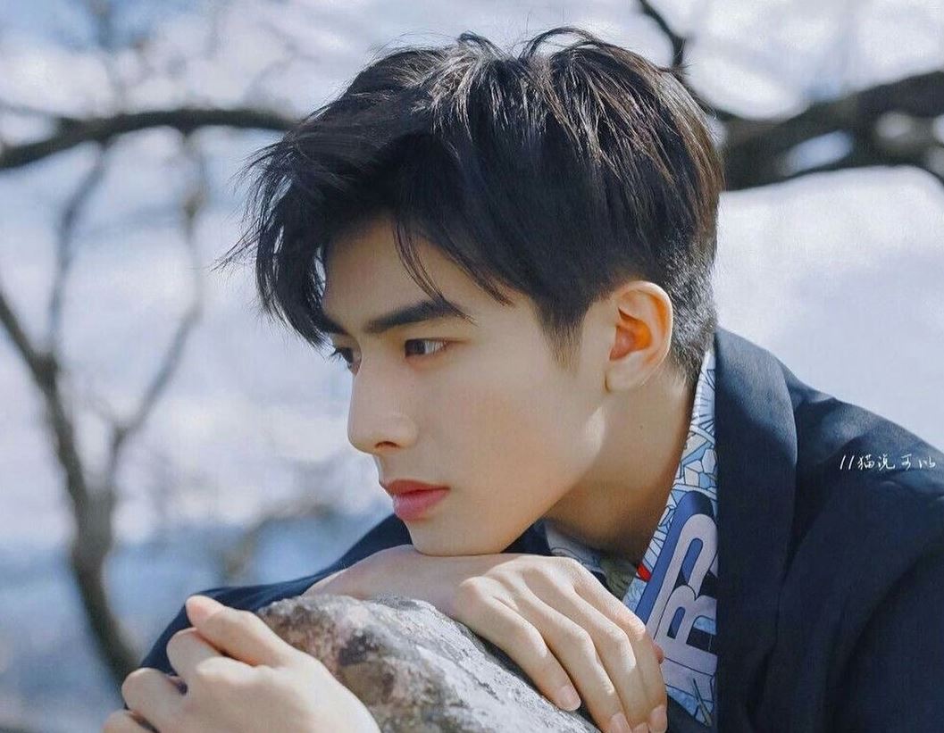 Tiểu sử Tống Uy Long