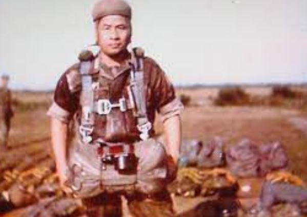 Trong sự nghiệp, đại tướng Cao Văn Viên từng tham gia vào Quân đội Liên hiệp Pháp, quân đội Quốc gia Việt Nam, quân đội VNCH
