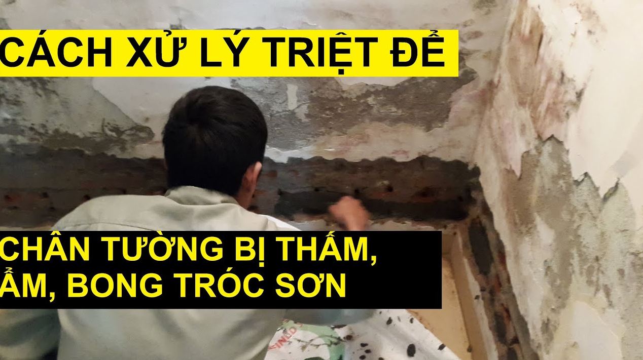 Nguyên nhân dẫn đến tình trạng tường nhà bị mốc lở