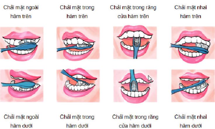 Các bước thực hiện đánh răng đúng cách chuẩn nhất hiện nay