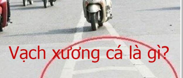 Vạch xương cá là loại vạch kẻ đường có hình dạng chữ V