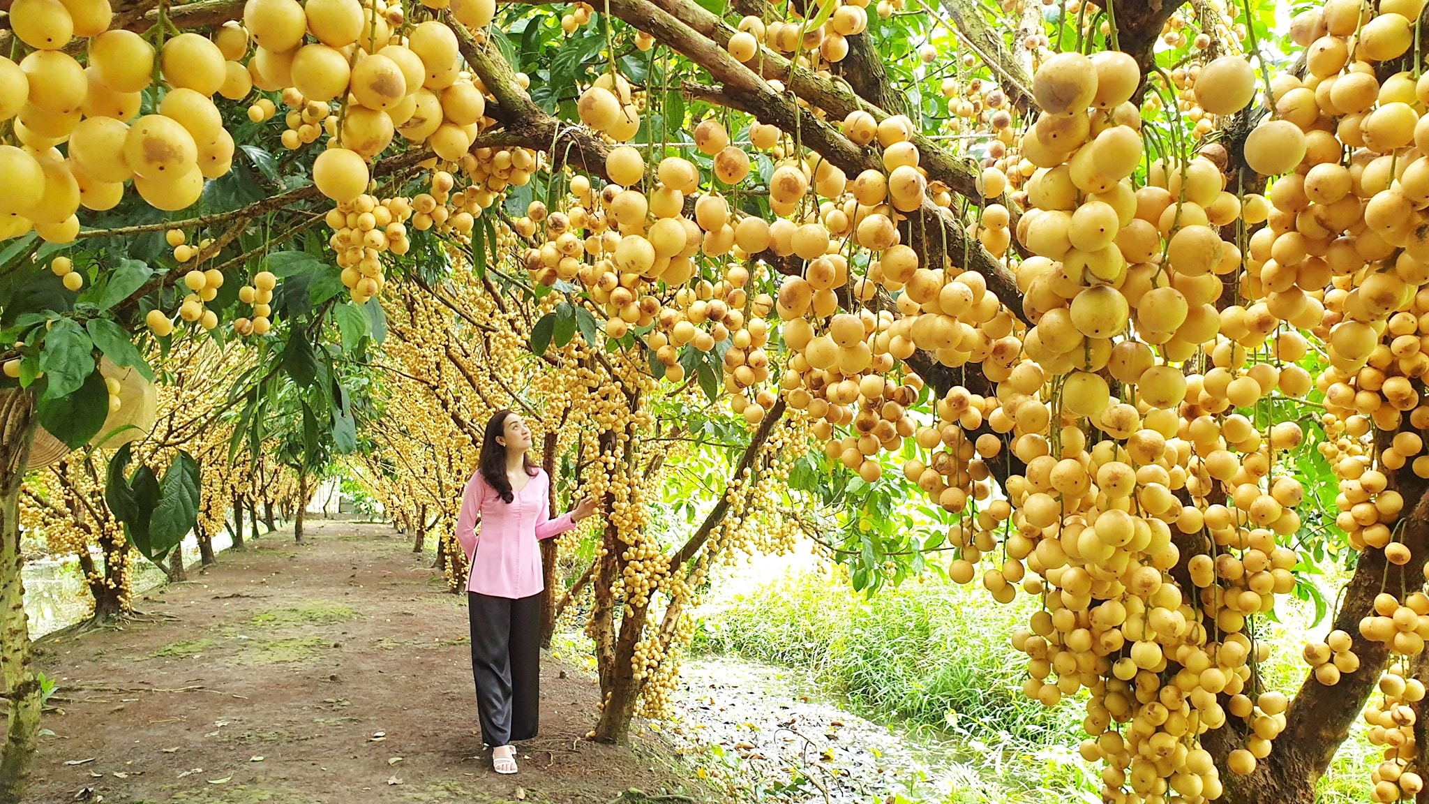 Chợ nổi Cái Răng trở thành nơi tuyệt vời khi đến Cần Thơ du lịch