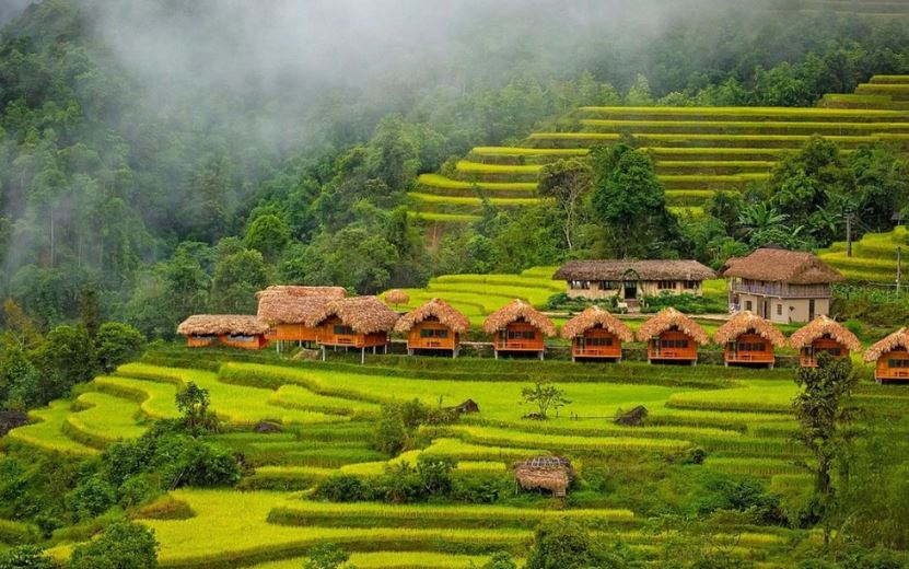 Ruộng bậc thang Hoàng Su Phì