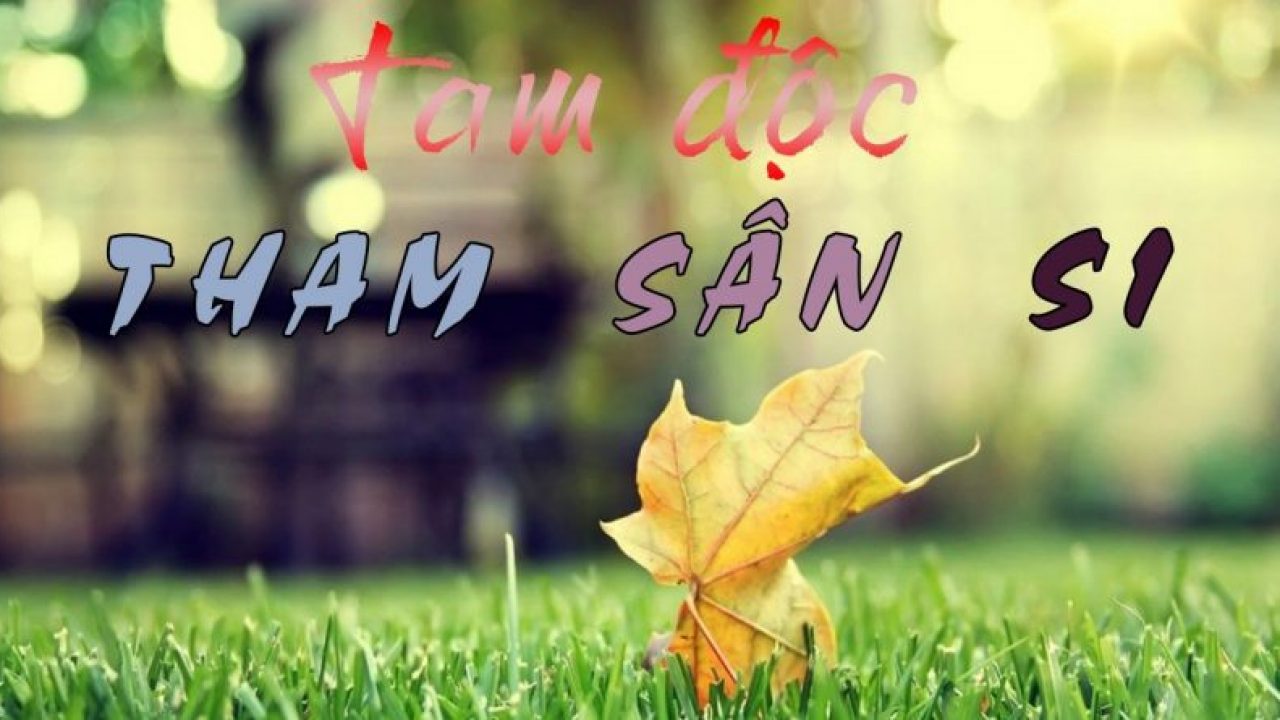 Tham Sân Si trong đạo Phật làm cản trở con đường đến giác ngộ