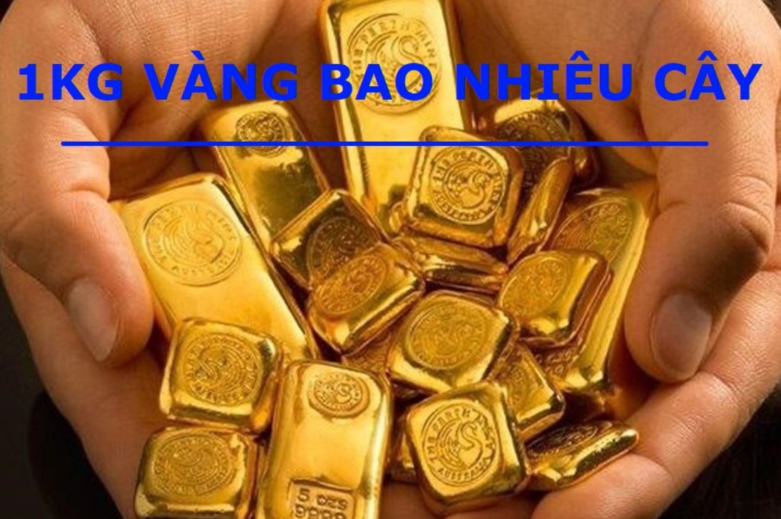 1 kg vàng bằng bao nhiêu cây - Bạn cần biết!